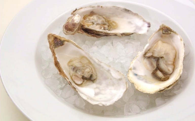 Open oysters on ice, ready to serve.