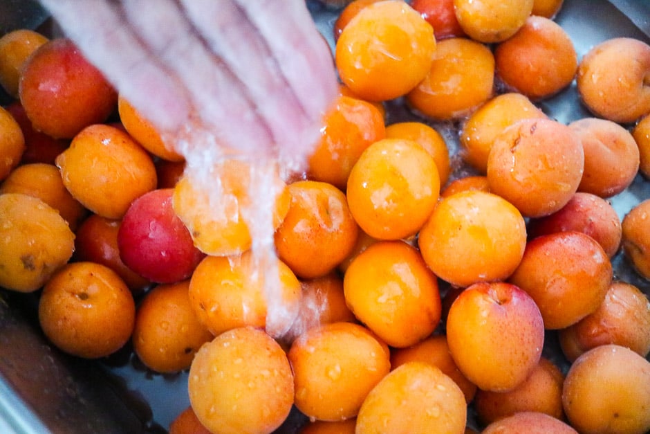 Washing apricots