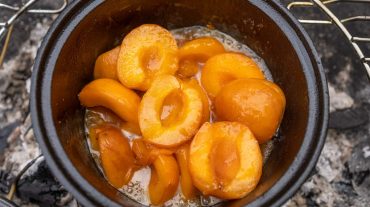 Apricot roaster recipe picture