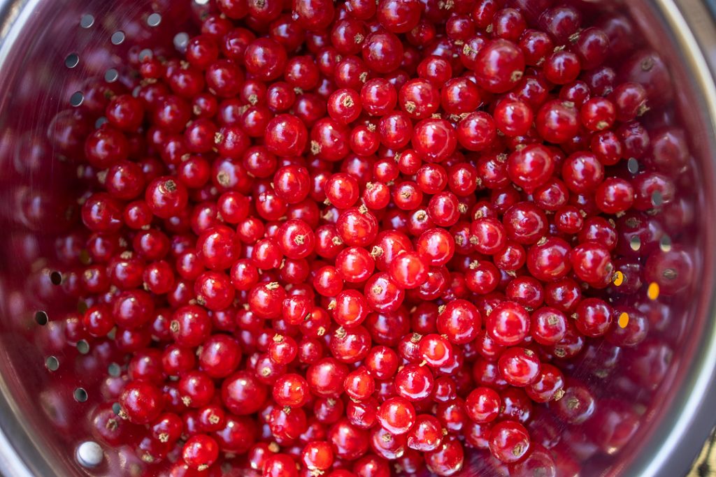 Currants without style
