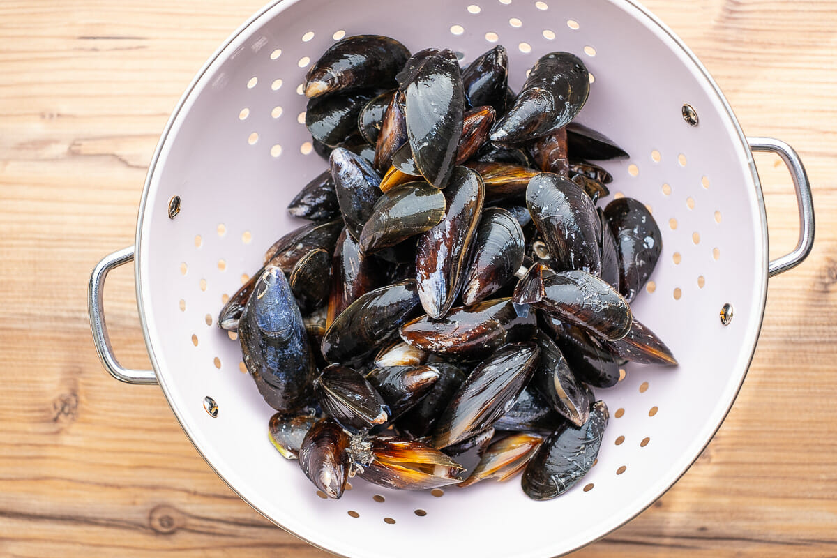 Mussels