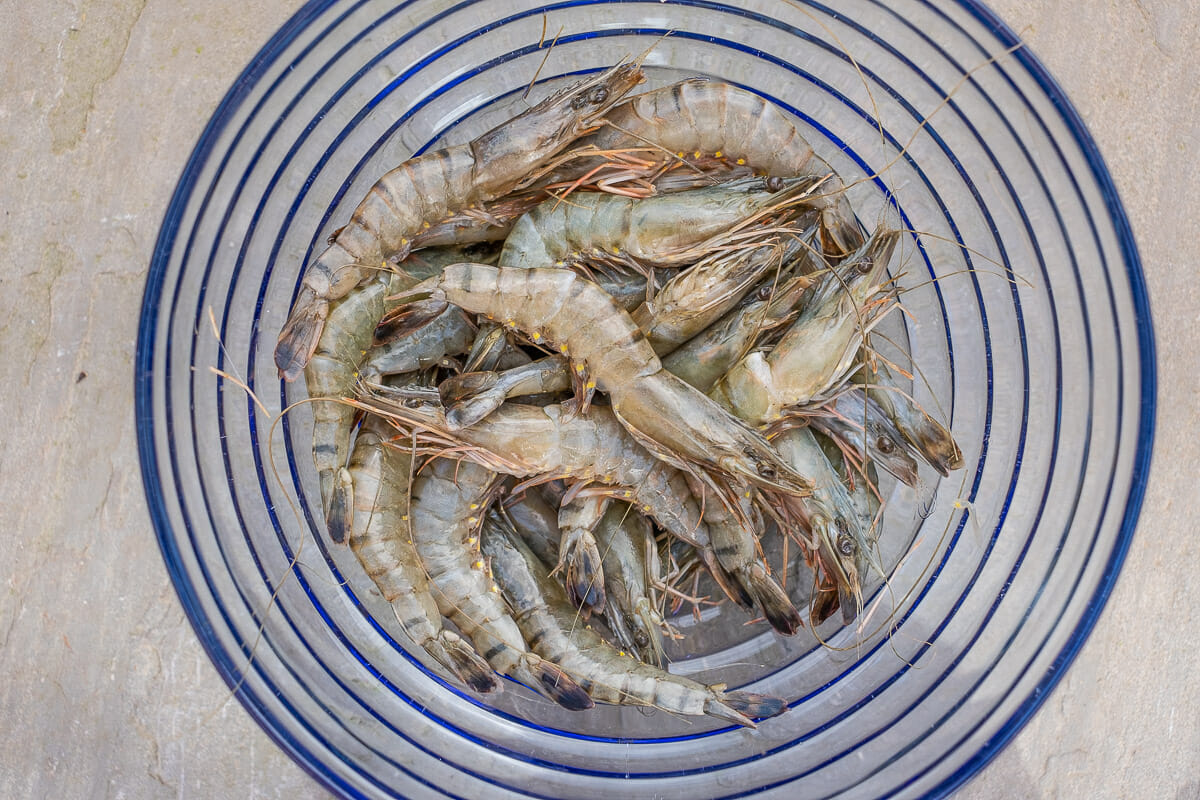 Prawns in the bowl