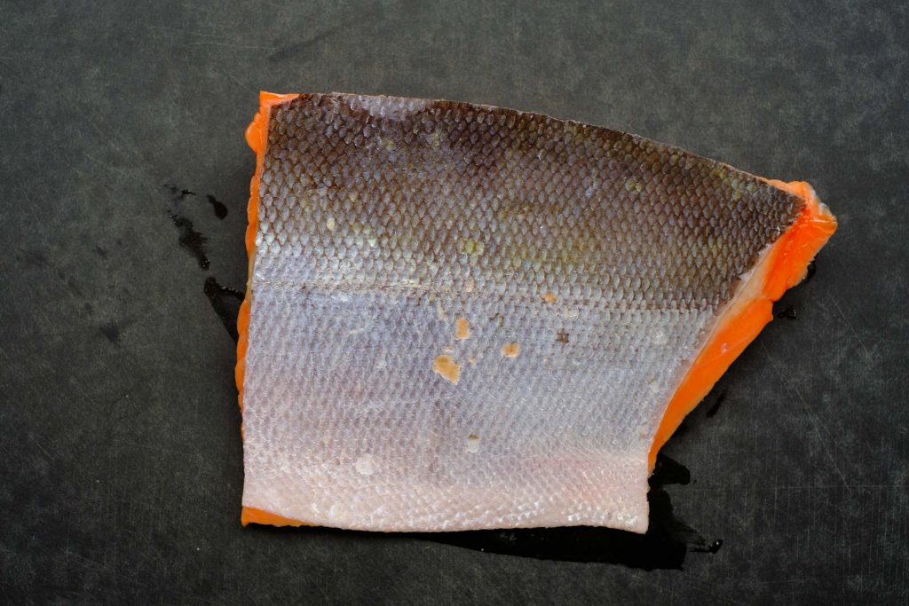 Sashimi salmon fillet skin side