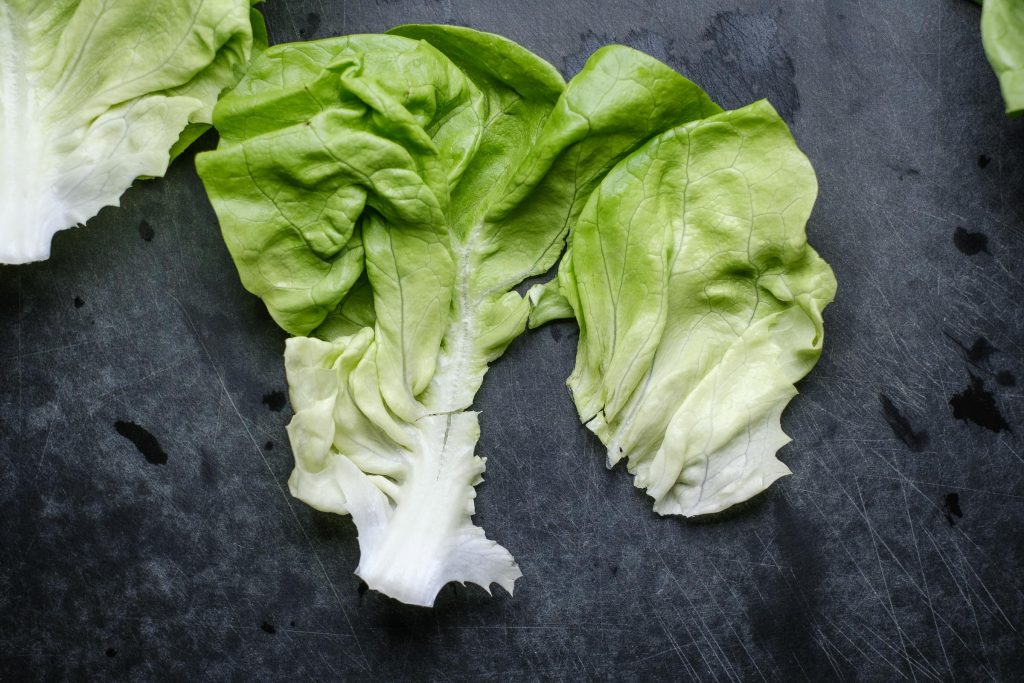 Clean butterhead lettuce outer leaves
