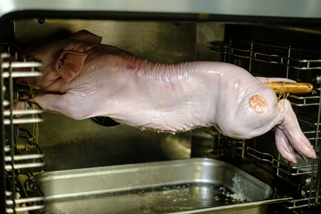 Suckling pig on a spit in the oven