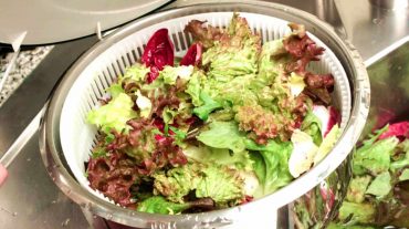 salat waschen, so wird blattsalat richtig gewaschen und trocken gelegt.