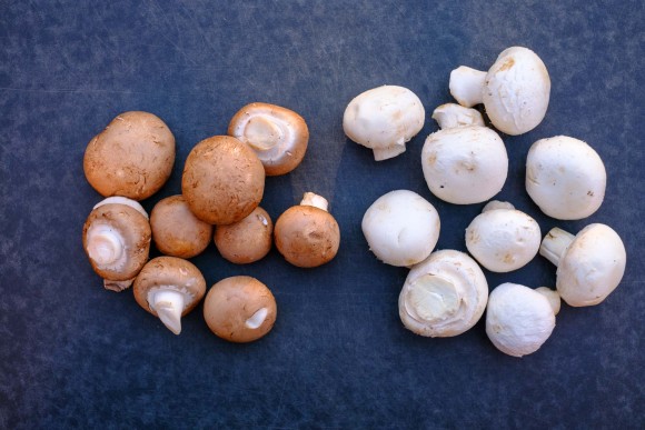 Champignons