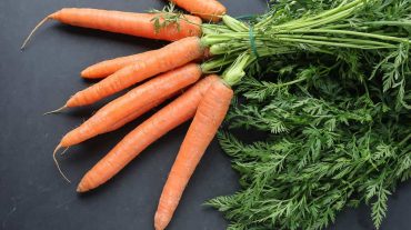 Karotten oder Möhren frisch mit dem Grün