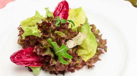 Salatbouquet Vorspeise