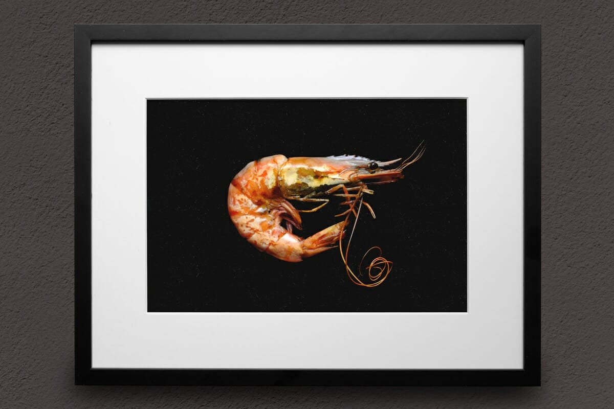 Food Art King Prawn