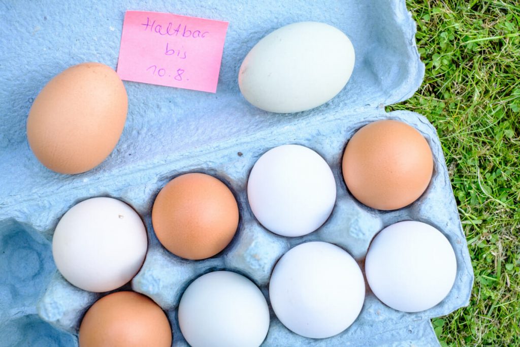 Frische Eier im Karton