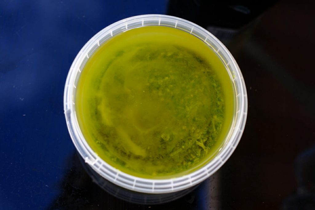 mojo verde