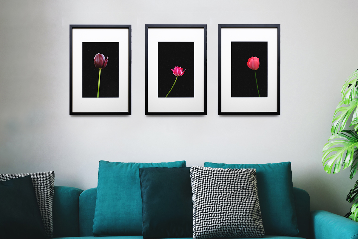 Fotokunst für Wohnzimmer Tulpen