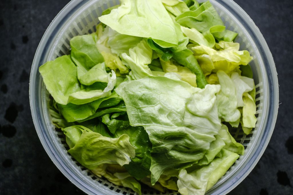 Gewaschene, nasse Salatblätter in die Salatschleuder legen