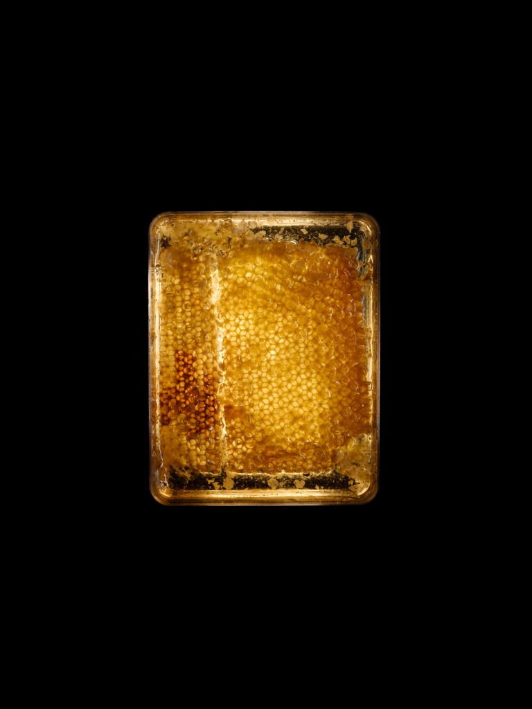 999,9 - Honig modernes Stillleben limitiertes Foto Kunst von Thomas Sixt