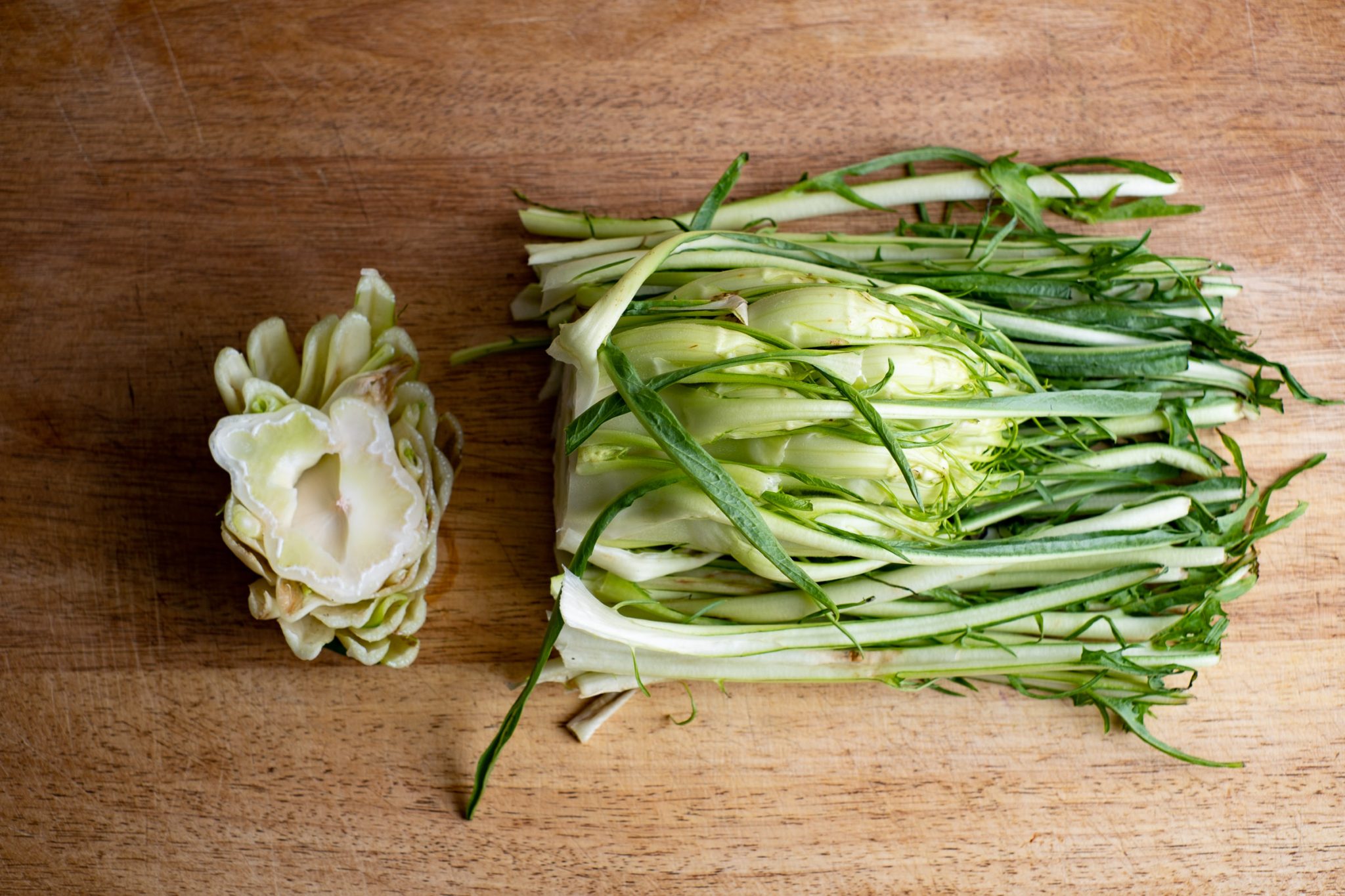Puntarelle Rezept als Salat und Antipasti. Anleitung zum selbst kochen