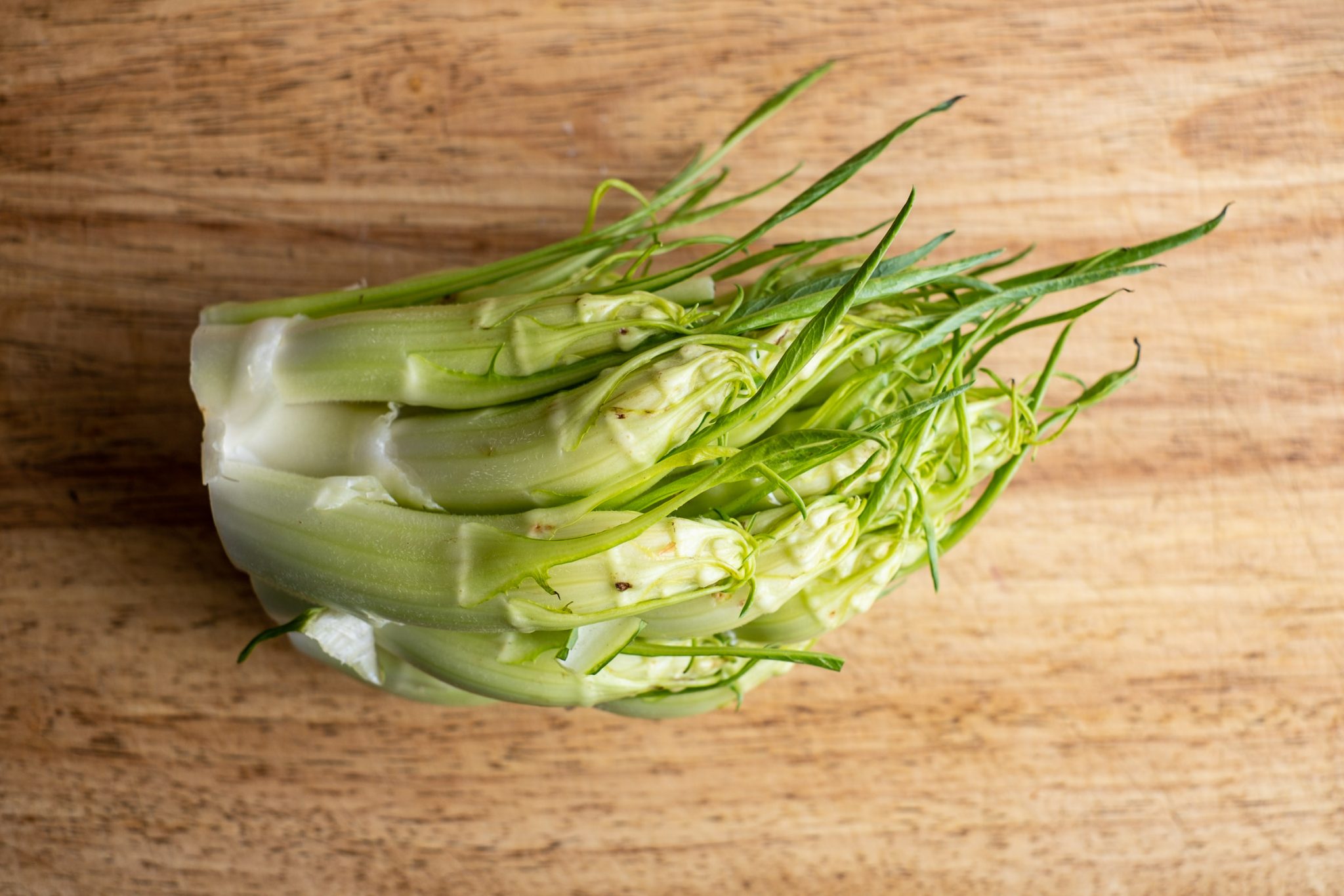 Puntarelle Rezept als Salat und Antipasti. Anleitung zum selbst kochen