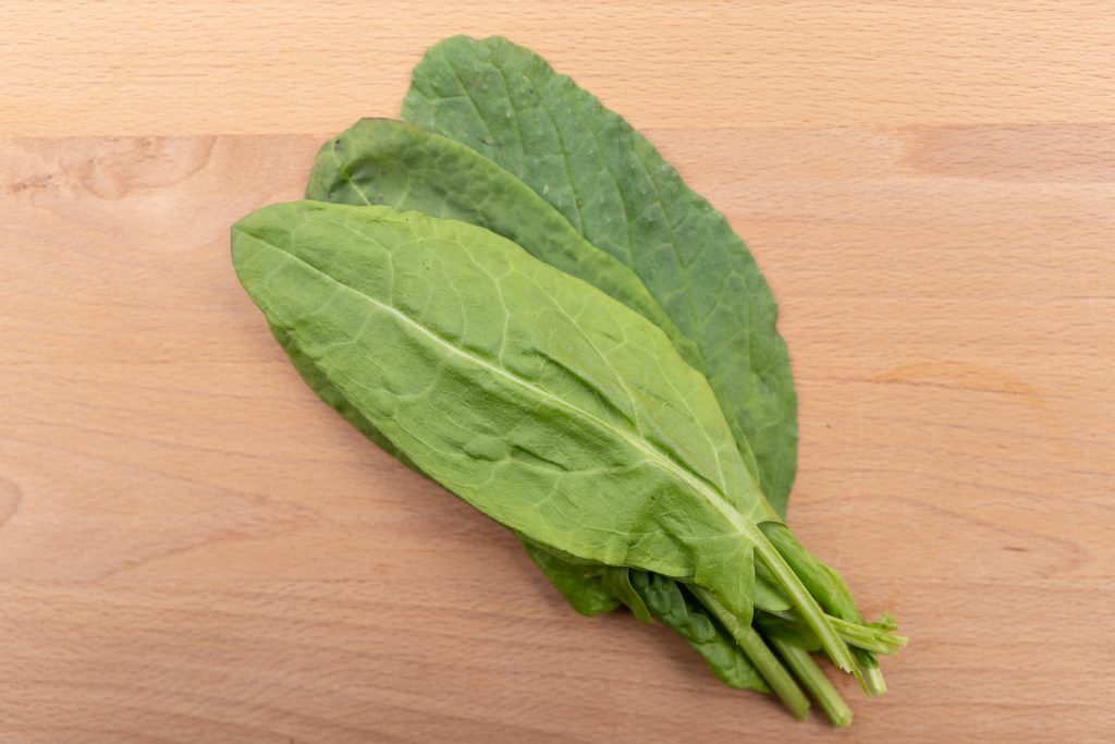 Sauerampfer