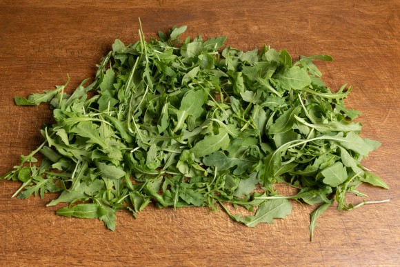 Rucola