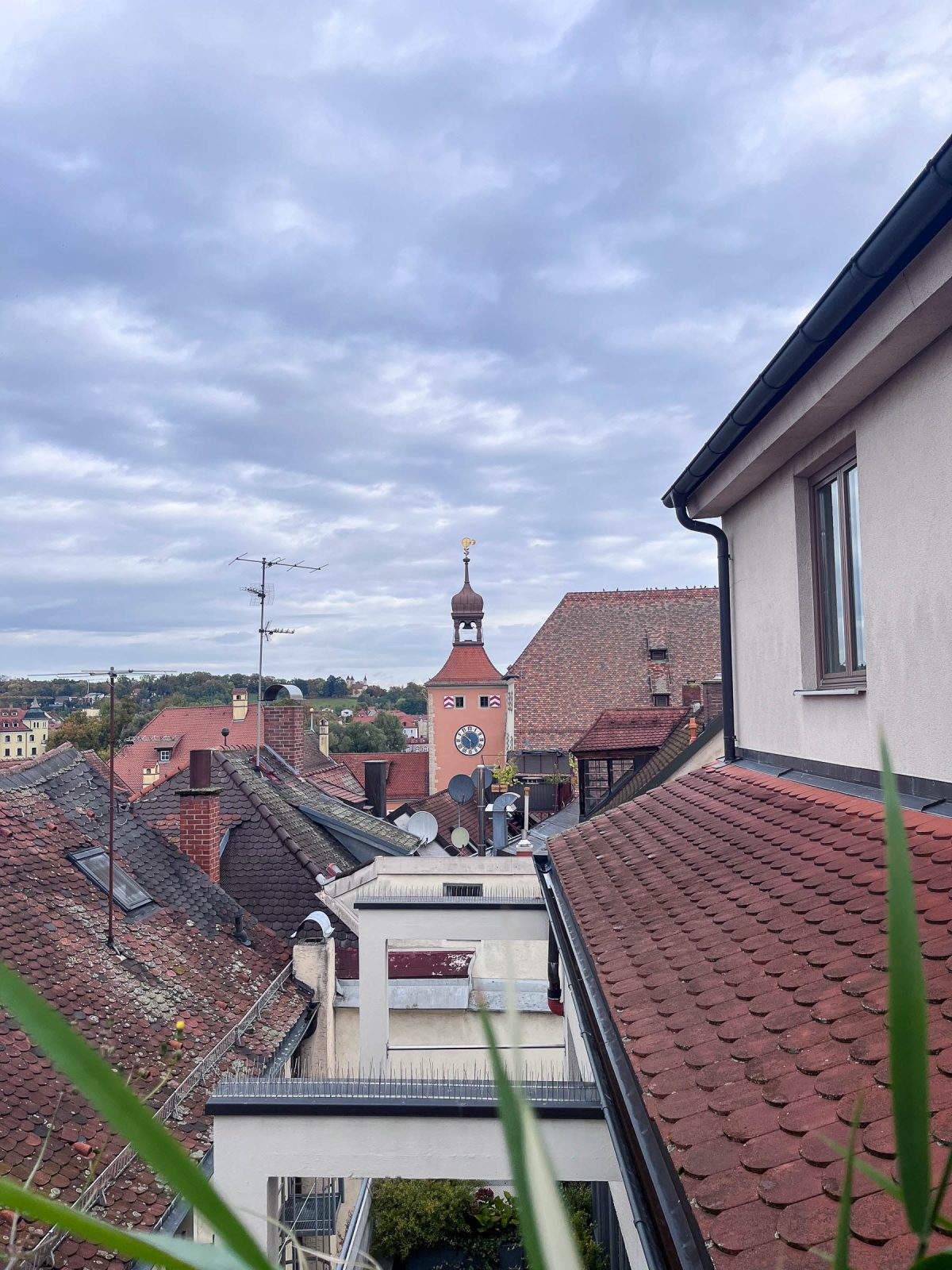 Hotel Goliath am Dom Regensburg Dachterrasse Blick