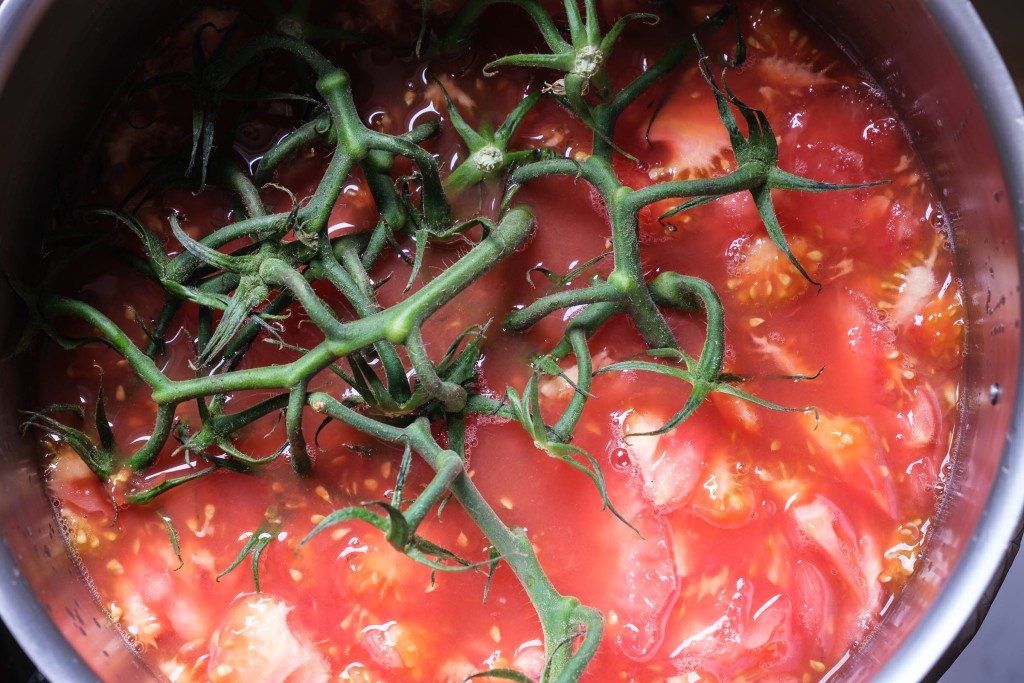 Tomatenfond kochen