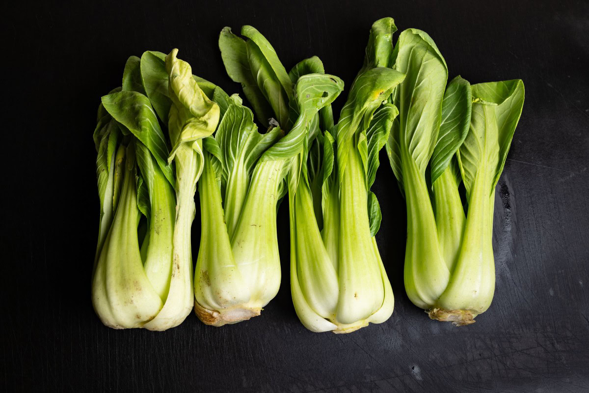 Pak Choi frisch