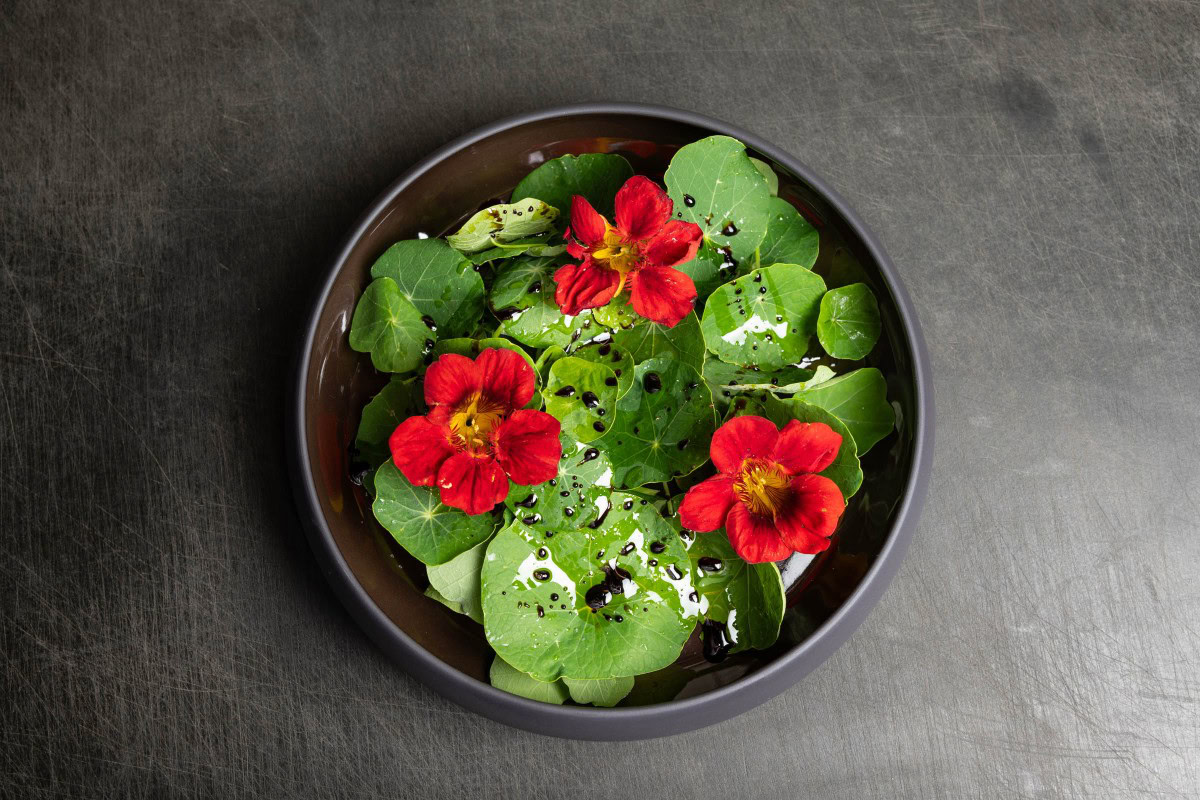 Kapuzinerkresse mit Blüten Salat