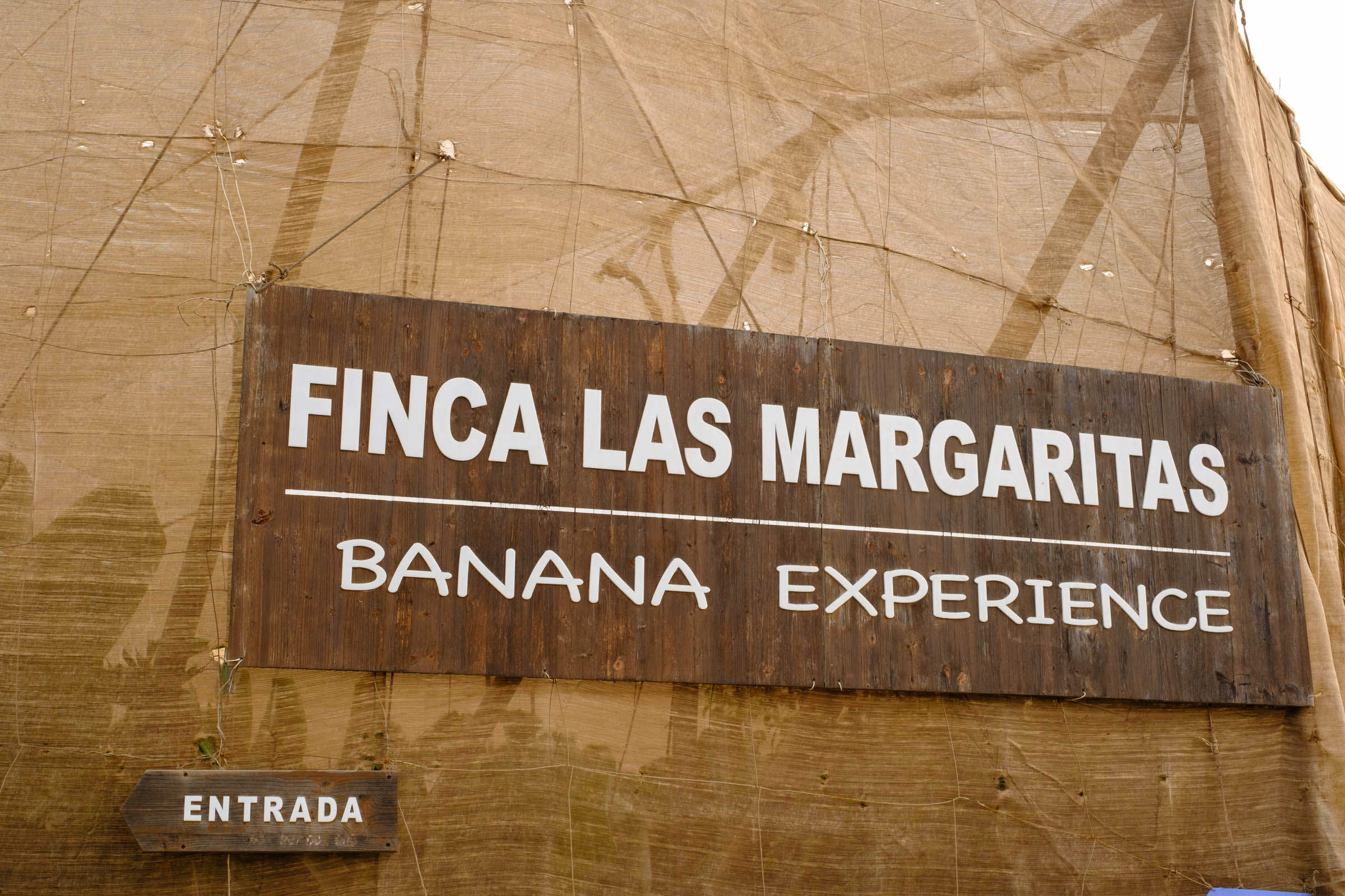 Finca Las Margaritas Bananenplantage besuchen in Teneriffa