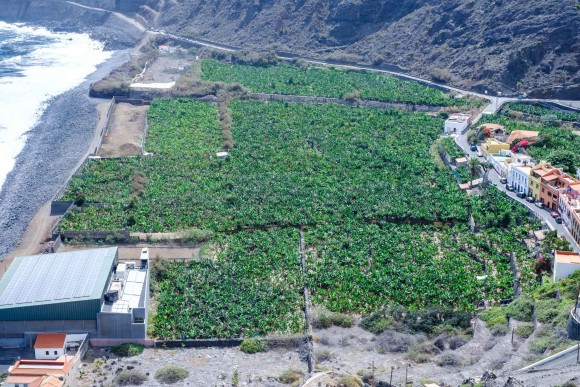 La Gomera Blick auf Bananenplantage