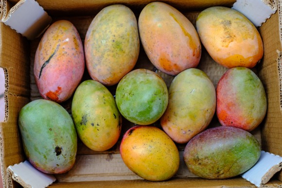 Mangos in der Kiste