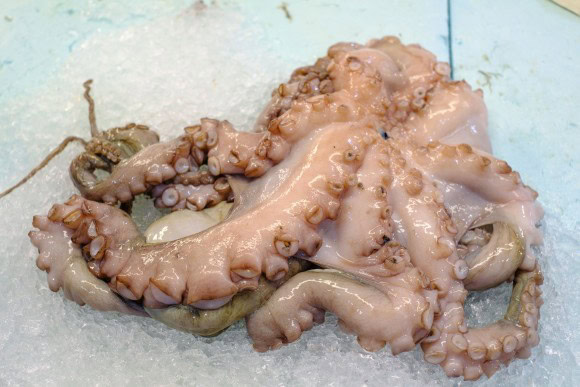 Präsentierter Pulpo auf Eis in der Markthalle von Santa Cruz, Teneriffa